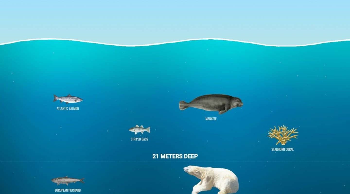 Comment mesurer la profondeur de la mer ?